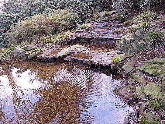 생물학적 연못 : 물의 정의, 분류, 유형, 과정 및 생물학적 처리