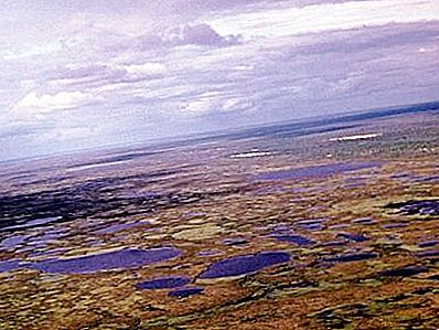 Environmental problems in the tundra zone. What is being done to preserve the natural zone?