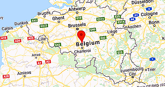 De economie van België: beschrijving, hoofdrichtingen, ontwikkelingstrends