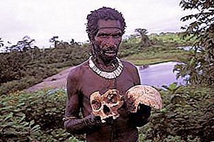Kannibalism i Afrika. Vilda kannibalstammar