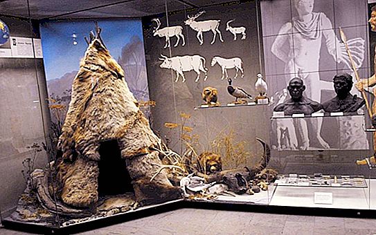 Darwin Museum: mga pagsusuri, address, larawan