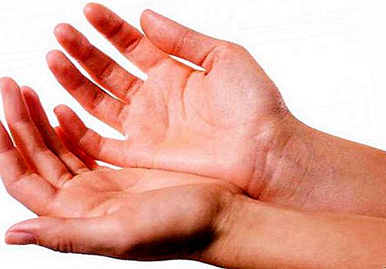 Hvor kom navnene på fingrene på menneskelige hænder fra?