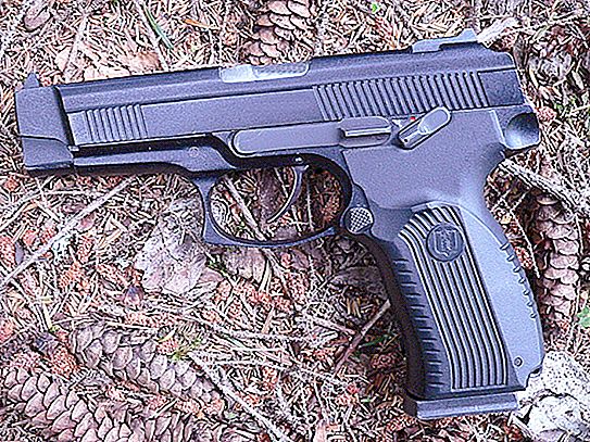 Gun "Rook": specifiche e foto
