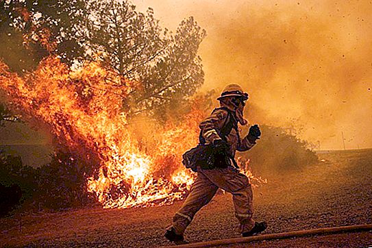 Gaisrai Australijoje: šimtai ugniagesių kovoja su žaibo smūgių sukeltomis stichijomis