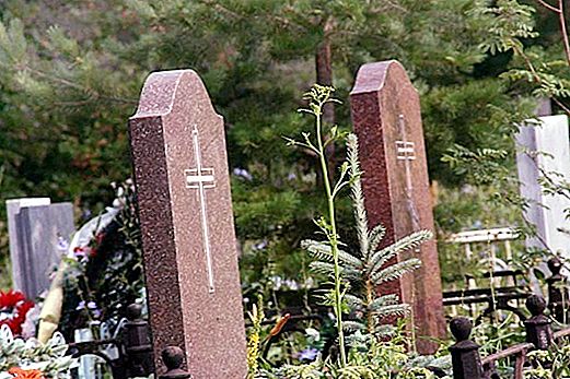 Ufa sørlige kirkegård: historie og de viktigste gjenstandene