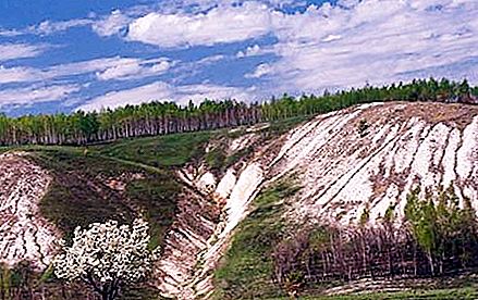 "Belogorye" rezerve. Valsts dabas rezervāts "Belogorye" (Belgorodas apgabals)