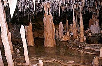 Stalagmit a stalaktit: metody vzdělávání, podobnosti a rozdíly