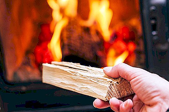 Suhu pembakaran kayu api dalam relau: jenis kayu, ciri-ciri perbandingan dan nilai unit termal