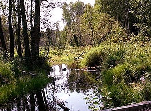 Reservas da região de Penza. Reserva natural do estado "Estepe da floresta do Volga"
