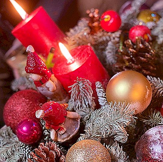 Dmitry Dibrovs kone fortalte, hvordan hun og manden og børnene fejrede det nye år