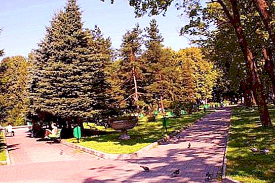 Kaliningrad Central Park: historia stworzenia
