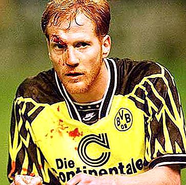 Matthias Zammer: karriere for en tysk fotballspiller og trener