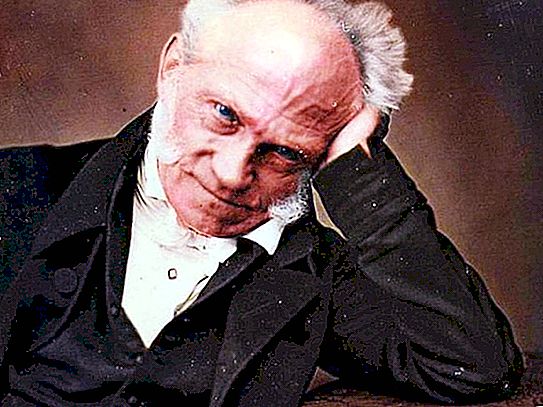 Alman filozof Schopenhauer Arthur: biyografi ve eserler
