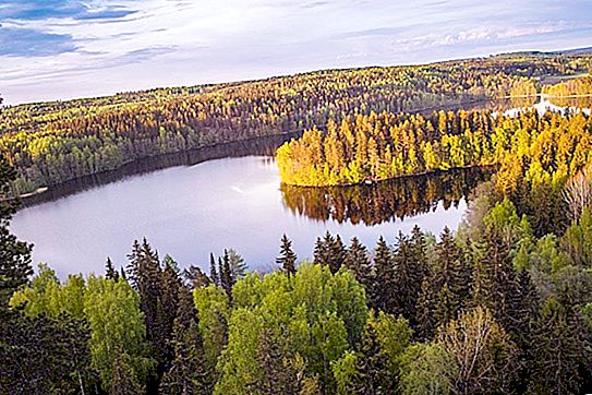 Agricultura în Finlanda: industrii și caracteristici