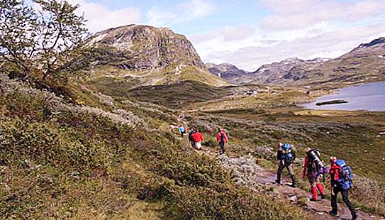Skandinavisk leder, eller What is the area of ​​Norway