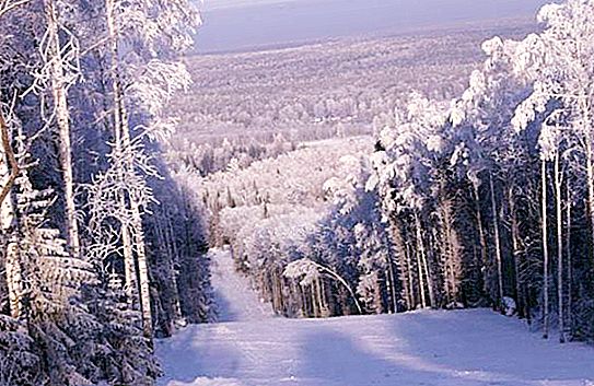 Estação de esqui Fir ridge: visão geral, características, localização e comentários
