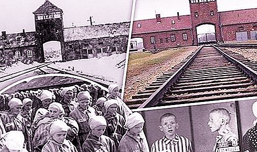 พิพิธภัณฑ์ Auschwitz พิพิธภัณฑ์ Auschwitz-Birkenau