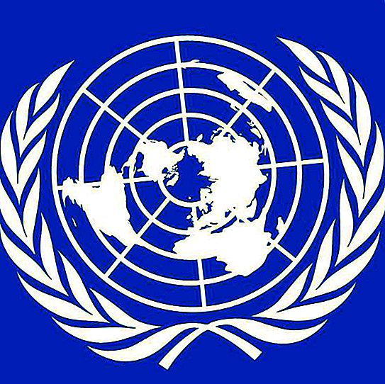 Förenta nationerna: stadga. FN: s dag