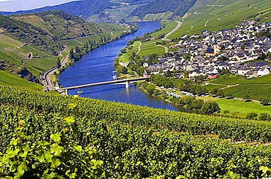 Sungai Moselle: Deskripsi