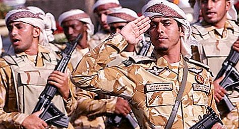 UAE hær - historie, funktioner og interessante fakta