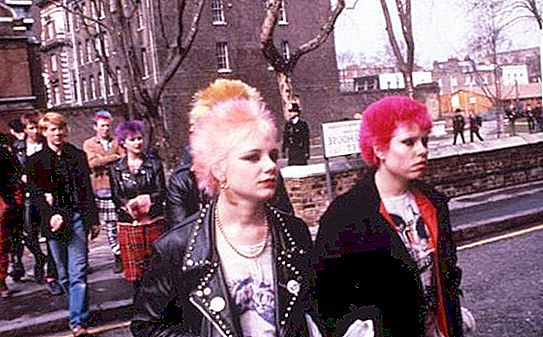 Punk este Punks: Descriere, istorie și ideologie