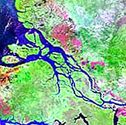 نهر الأمازون هو أعمق نهر في العالم.