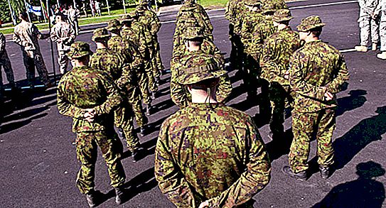 القوات المسلحة الفنلندية: القوة والتجنيد والتسلح