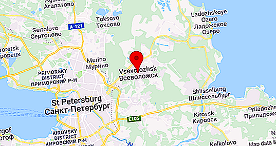 Vsevolozhsk: populacja i trochę historii