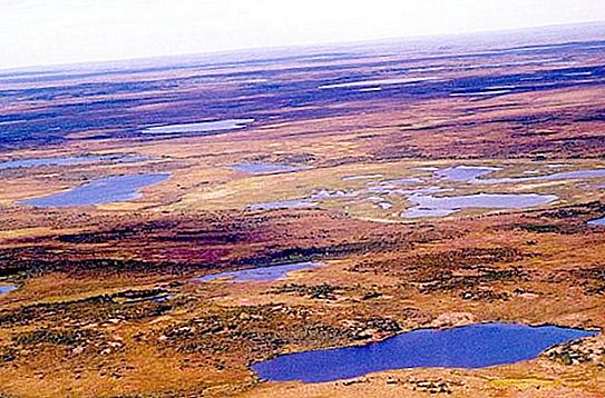 Bolschewemelskaja-Tundra: natürliche Eigenschaften