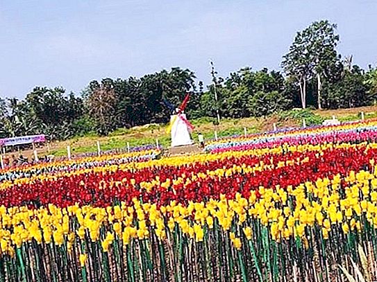Holanda? No, esta es una de las ciudades de Filipinas que convirtió los desechos plásticos en un verdadero jardín de flores.