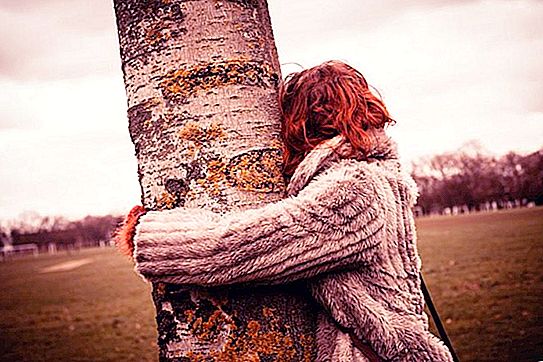 “If something hurts or if you don’t have strength, hug the birch”: the grandfather told which trees you can turn for help and how to do it right