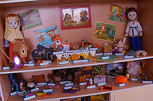 Mini muzeum v předškolním vzdělávacím zařízení: popis, tvorba, práce, cíle