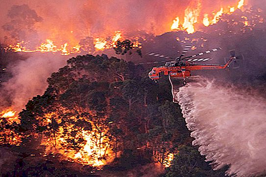 Australijos miškų gaisrų sukelta perkūnija sukelia žaibus ir vėjus, kurie mylių metu gali pernešti pavojingas dūmines daleles