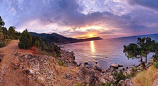 Plants of Crimea: description and photo