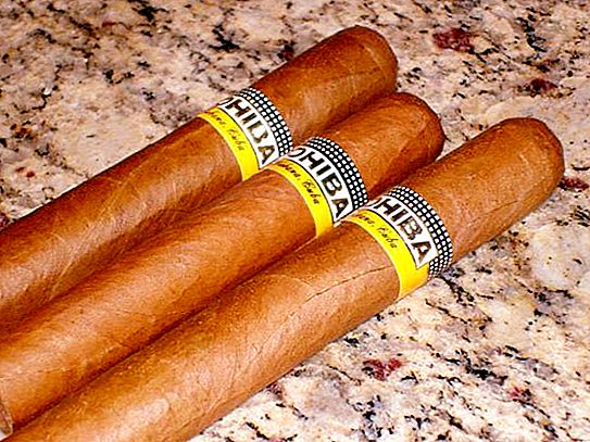 Cigarrer "Koiba": beskrivning, recensioner