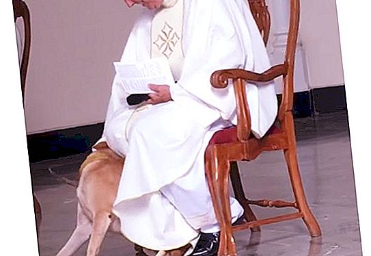 During the mass, the dog ran to the altar. The reaction of the priest was unexpected for those present