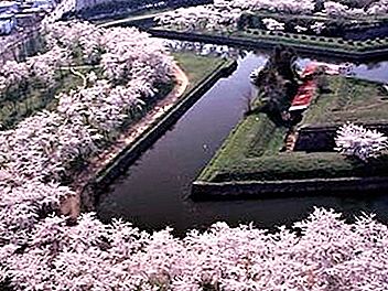 Tiden da sakura blomstrer er den mest velsignede tiden for japanerne