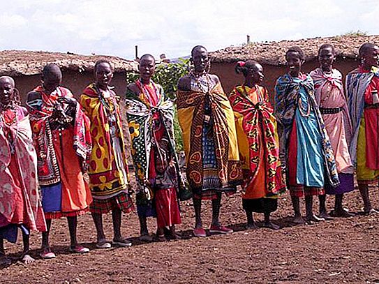 Afrikansk prydnad: stilegenskaper, symbolik