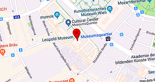 Leopoldov muzej na Dunaju: opis, recenzije