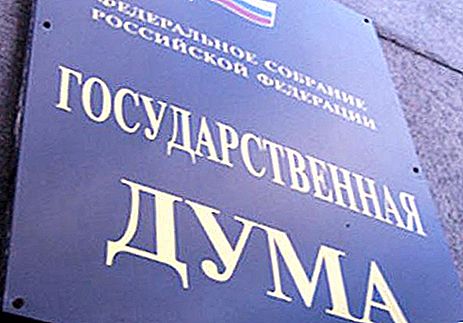 Magkano ang nakuha ng kinatawan ng Estado Duma. Ano ang suweldo ng representante